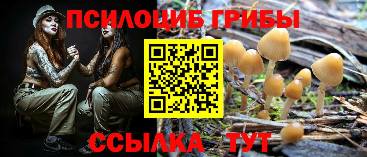Грозный  дарнет шоп  Галлюциногенные грибы ЛСД  Вход с VPN  Псилоцибиновые грибы мухоморы 